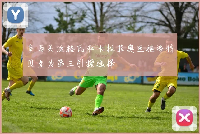 皇马关注格瓦和卡拉菲奥里施洛特贝克为第三引援选择