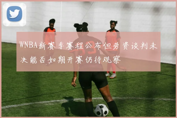 WNBA新赛季赛程公布但劳资谈判未决能否如期开赛仍待观察